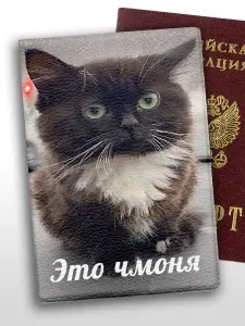 Обложка на паспорт с приколом мем котик Это чмоня маленький