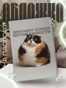 Обложка на паспорт с принтом Котость Мелстрой мем