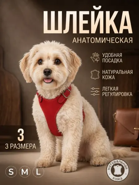 Юг-Амуниция Шлейка для собак и кошек мелких пород до 6кг из натуральной…