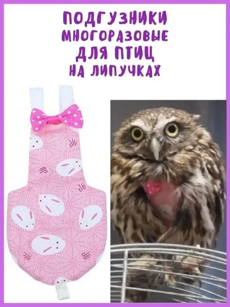 Собаки & Кошки Трусы для попугаев, Подгузники Памперсы для птиц
