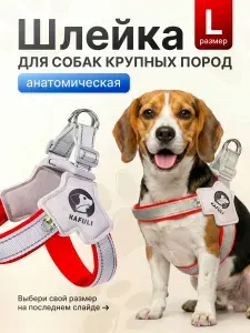 Шлейка для собак красная до 20кг/ ошейник со светоотражателем, для средних и крупных пород