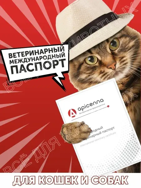Зоотовары Ветеринарный паспорт международный