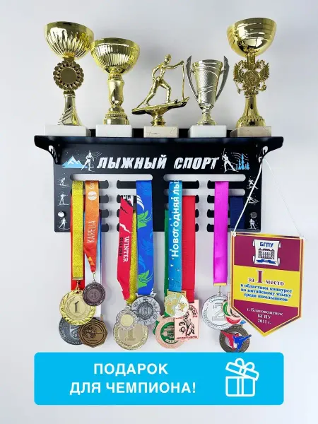 На Победе Медальница полка Лаит "Лыжный спорт"
