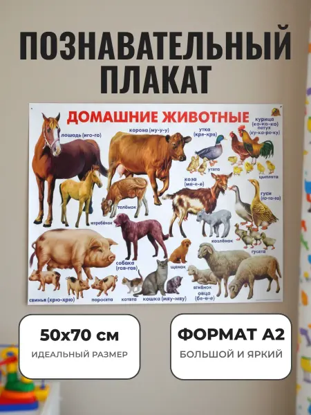 ЛИНГ Развивающий плакат А2 для детского сада и школы Животные