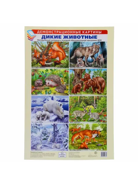Издательство Сфера Демонстрационные картины А3. Дикие животные. 8 штук