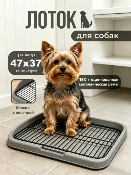 Лоток для собак мелких пород с Съемная решетка