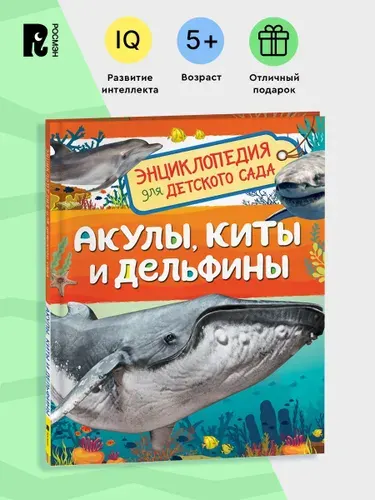 Акулы, киты и дельфины. Энциклопедия для детского сада | Попова Лариса