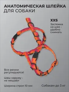 Анатомическая прогулочная шлейка для собаки "Огонь" XXS стандарт