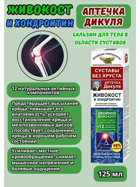 Аптечка дикуля Бальзам для суставов и позвоночника с хондроитином 125 мл