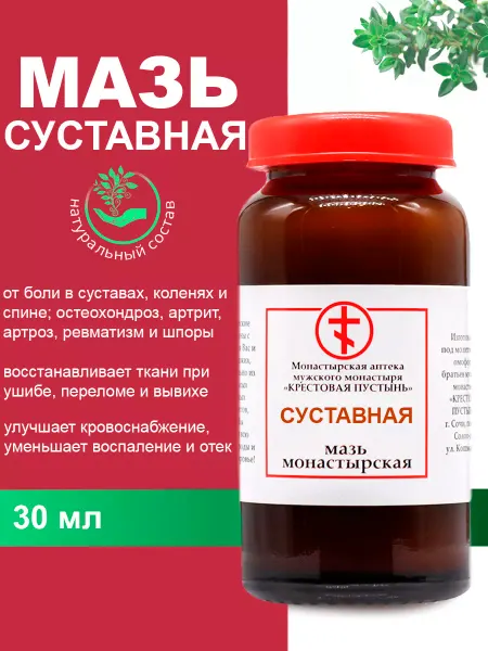Бизорюк Мазь суставная при артрите остеохондрозе 30 мл