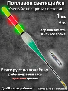 Умный поплавок для рыбалки ночной светящийся на батарейке реагирует на поклевку 4гр
