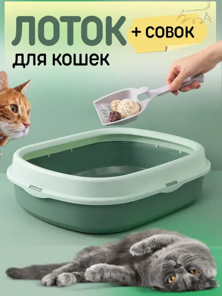 ЭКО_ДОМ Лоток туалет для кошек средний с совком