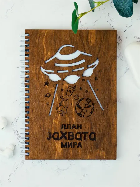Выручалкин Блокнот с деревянной обложкой "План захвата мира"