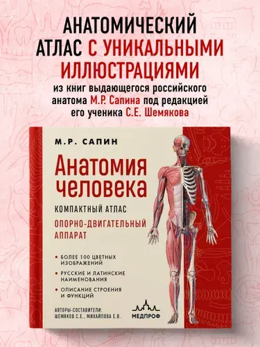 Анатомия человека. Компактный атлас. Опорно-двигательный аппарат | Сапин Михаил Романович