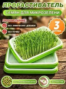 Гидропонная установка, Лотки для выращивания микрозелени, контейнер, бокс, с перфорацией, 3 шт