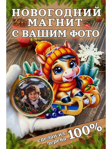 Новогодний магнит с Вашим фото "Лошадка на санках"