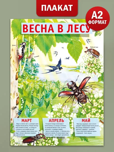 ТМ Мир поздравлений Плакат украшения оформление Времена года Весна в лесу