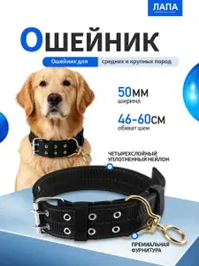 Усиленный чёрный нейлоновый ошейник для домашних животных, обхват шеи 46-60 см, подходит для средних и крупных пород собак весом 30-60 кг