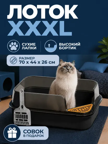 Комфортный большой кошачий туалет-лоток для питомцев
