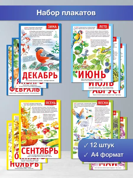 ТМ Мир поздравлений плакаты времена года обучающие на стену в школу для класса