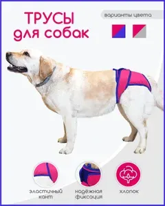 Трусы для собак во время течки многоразовые "Гладиолус", размер XXL