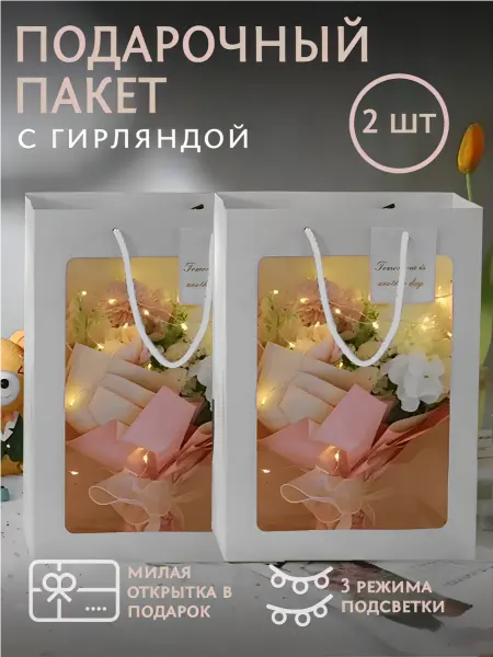 ZX Пакет подарочный с окном и гирляндой