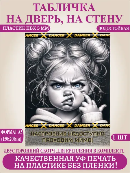 Прикольная табличка на дверь, стену, забор Настроение