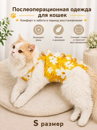 Послеоперационная попона-боди для кошек, защитная одежда для реабилитации и восстановления
