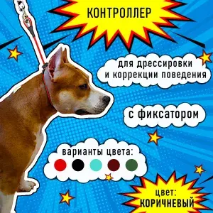 Ошейник удавка-контроллер с фиксатором для дрессировки и коррекции поведения