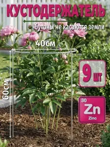 Опора для пионов, роз. Держатель кустов смородины, крыжовника. Кустодержатель круглый оцинкованный.