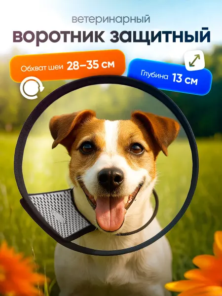 Защитный воротник ветеринарный для собак №1