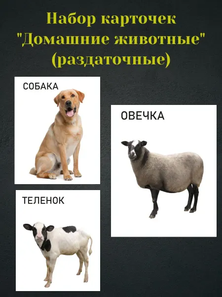 Набор карточек "Домашние животные" (раздаточные)
