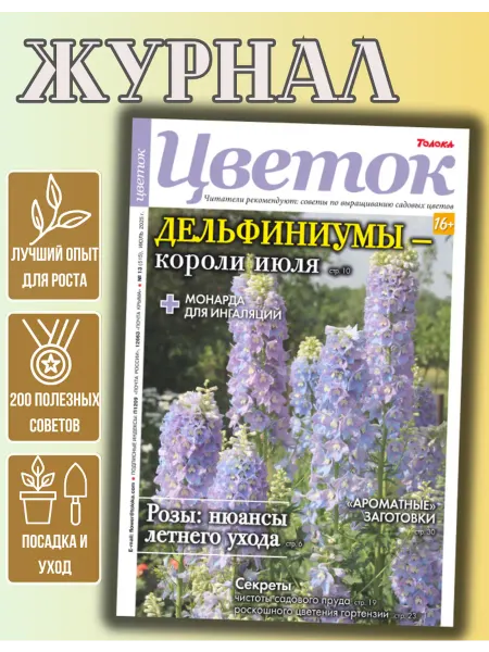 Цветок журнал о садовых цветах №13.Уход за розами