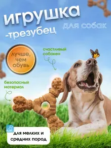 Жевательная игрушка-трезубец для мелких и средних пород, для здоровья и чистки зубов собак
