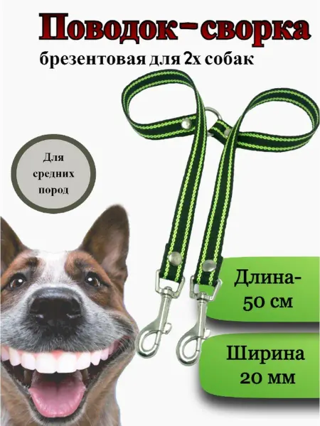 Техпро44 Сворка для двух собак брезентовая