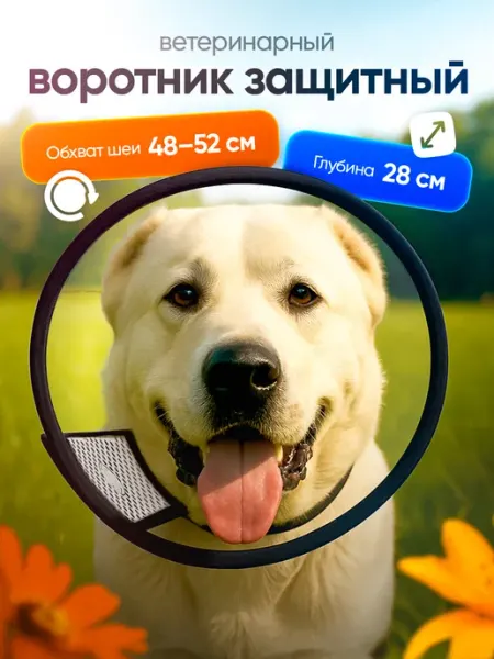 Защитный воротник ветеринарный для собак №5