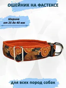 Ошейник для собак "Капибара" с регулировкой на застёжке (фастексе). S