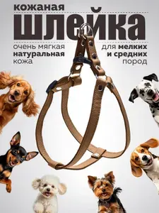 Шлейка для собак мелких и средних пород кожаная
