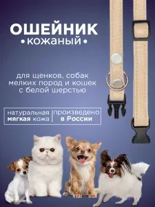 Ошейник для щенков мелких пород, белых собак мелких пород кожаный, кошек
