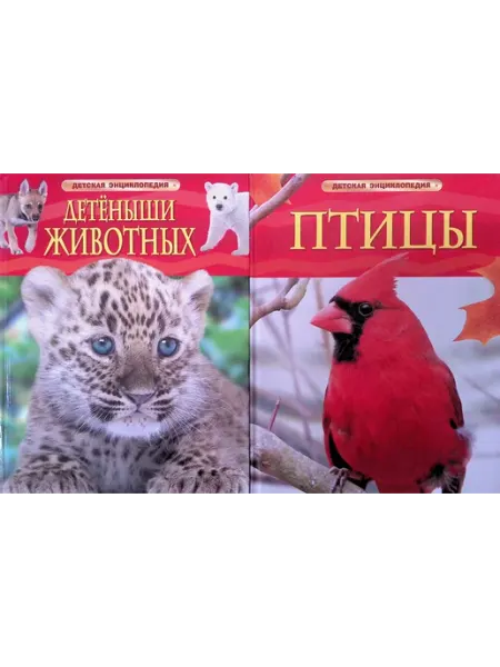 РОСМЭН-пресс Детеныши животных. Птицы