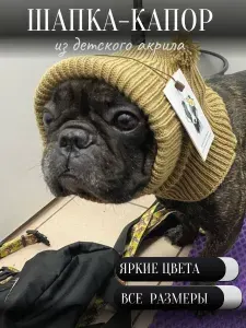 Шапка-капор для собак мелких пород