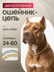 Чокер ошейник для собак средних и крупных пород