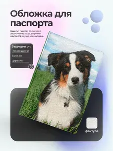 Обложка на паспорт c собакой сенбернар