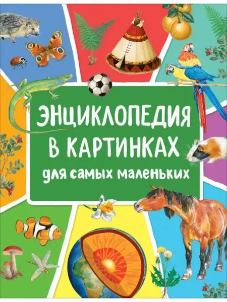 РОСМЭН-пресс Энциклопедия в картинках для малышей