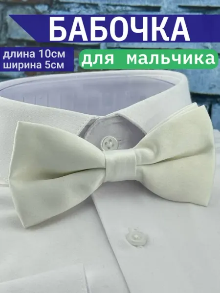 Школьная бабочка/Галстук-бабочка для мальчика Галстук бабочка детская школьная