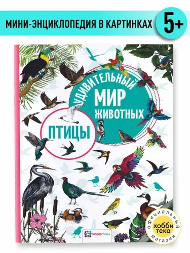 Птицы. Удивительный мир животных. Мини-энциклопедия для детей