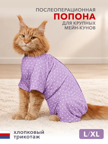 МУРЛЭНД Попона для кошки мейн-кун послеоперационная на застежках