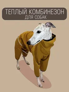 Теплый комбинезон для собак пород Уиппет Монморанси, горчичный, М1