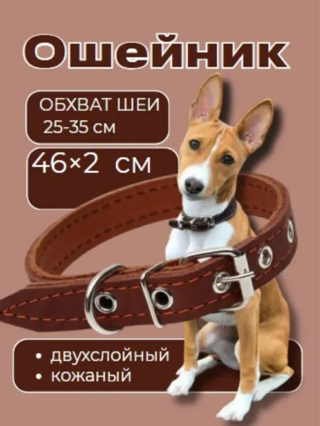Кожаный ошейник для собак, двухслойный, ОШ25-35 см