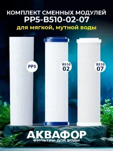Комплект сменных модулей АКВАФОР РР5-В510-02-07